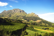 Nieuw! Wijnreis Zuid-Afrika