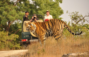 Extra vertrek Safarireis India