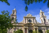 Basiliek Salta Argentinie