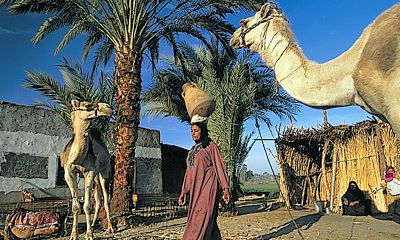 Djoser: Egypte zeilreis, 10 dagen