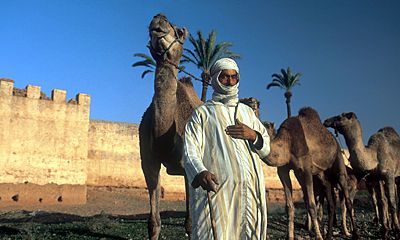 Rondreis Marokko Saharasafari 10 Dagen te Rondreis