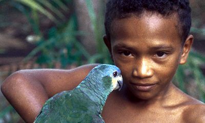 Rondreis Brazilie Amazone 21 Dagen