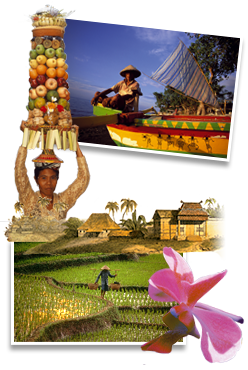Lees meer... : rondreis Rondreis Sumatra, Java, Bali , Indonesië