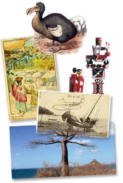rondreis Madagascar