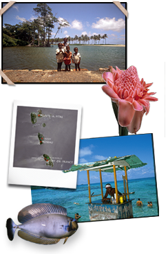 Djoser: rondreis Martinique, Dominica