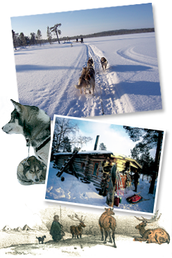 Lees meer... : rondreis Rondreis Fins Lapland, 7 Dagen , Lapland
