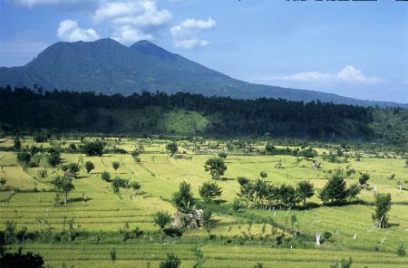 Rondreis Sumatra, Java