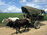 cms_visual_264.jpg