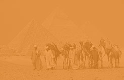Midden-Oosten & Noord Afrika