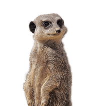 Cuba prijzen Cuba prijzen