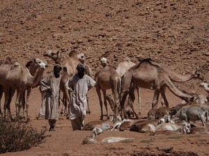 Drinkplaats voor kamelen en geiten.