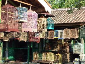 Vogeltjesmarkt Yogyakarta