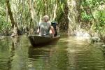 Boottochtje door mangrovebos