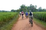 Ook in Cambodja mooi fietsen
