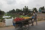 Het dagelijkse leven in de Mekongdelta