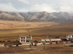lhasa