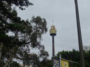 Sydney Tower, HOHO boat en Taronga Zoo