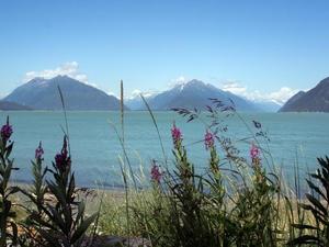 Alaska uitzicht (3)