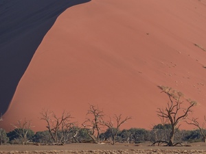 Zandduinen - Namib Naukluft 