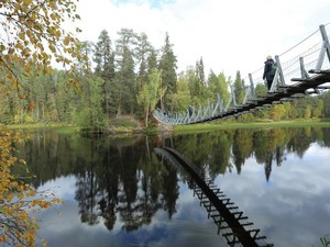 Berenreis Finland (7)