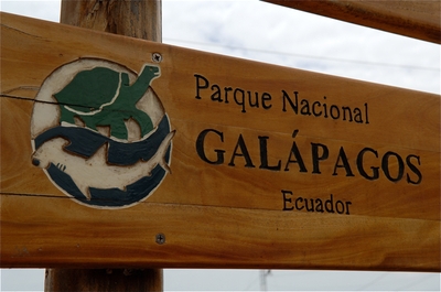Galapagos; the world's most amazing zoo