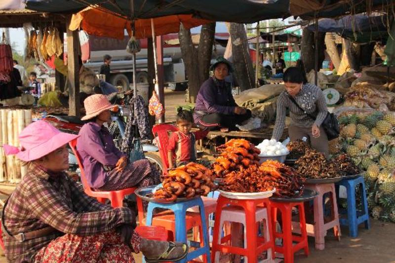 Cambodjaanse markt vol 'lekkernijen'