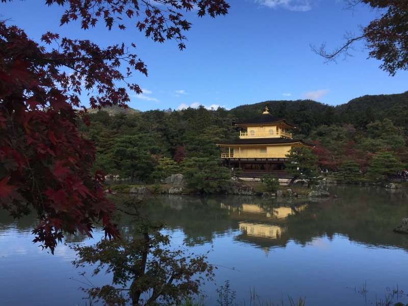 Golden temple Kyoto 