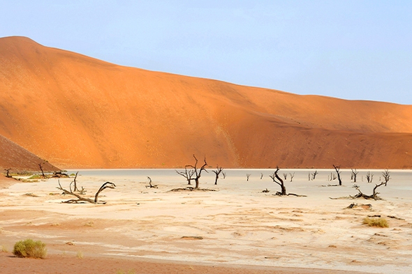 Spaans Slechthorend Stroomopwaarts Rondreis Namibië | Prachtige landschappen en veel wild | Djoser