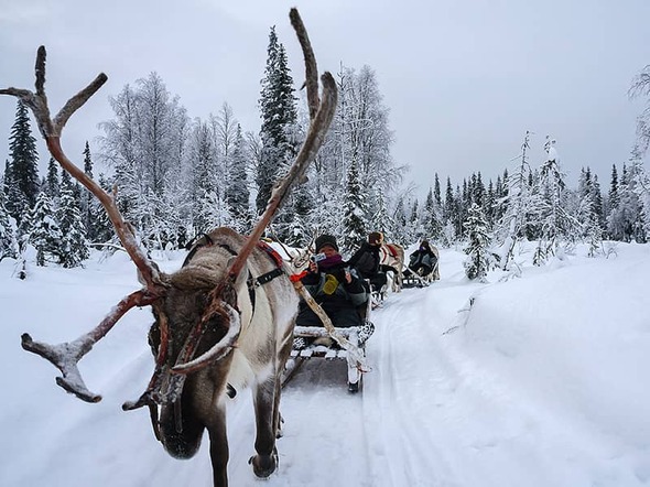 Rondreis Lapland met de kinderen