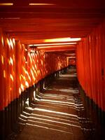 Fushimi Inari-taisha torii Kyoto Japan Djoser