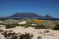 Zuid-Afrika Kaapstad Kaap de Goede Hoop Djoser