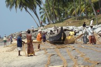 India strand vissers Djoser