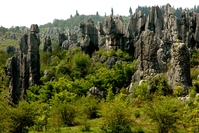 Kunming Stenen woud China