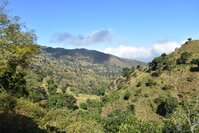 Tanzania Usambaragebergte bergen