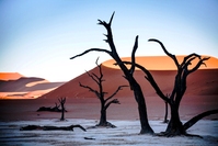 Deadvlei in Sossusvlei Namibië Djoser 