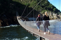 Tsitsikamma brug over het water Zuid Afrika