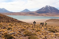 Atacama woestijn Chili