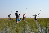 Okavangodelta Botswana