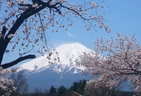 Kawaguchiko meer Fuji kersenbloesem Japan