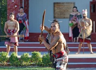 Nieuw-Zeeland maori cultuur