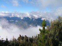 regenwoud Baños Ecuador