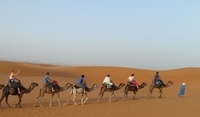 Kamelentocht Sahara woestijn Marokko