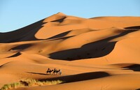 Woestijn Marokko