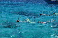 Snorkelen onderwater wereld Cuba Djoser