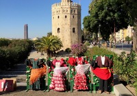 Flamenco Spanje