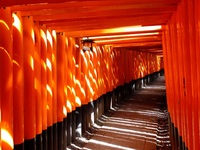 Fushimi Inari-tempel Kyoto Japan Djoser