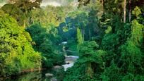 Borneo Maleisie klimaat natuur Djoser