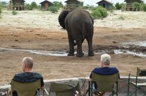 Botswana olifant