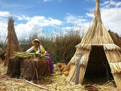Uros huis op Titicacameer in Peru