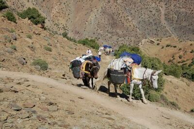 Wandelreis Marokko ezel Djoser 